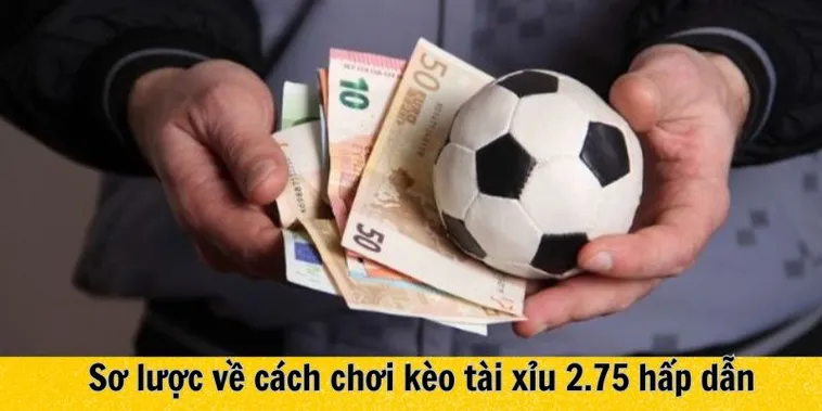 Giải Mã Kèo 2.75 Tại 7M Và Cách Chơi Hiệu Quả Cho Người Mới 2 Giải Mã Kèo 2.75 Tại 7M Và Cách Chơi Hiệu Quả Cho Người Mới