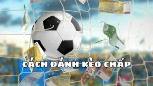 Giải Nghĩa Kèo Chấp 2 Trái Tại 7M Và Cách Đọc Chuẩn Xác Cho Người Mới