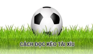 Kèo Tài Xỉu Tại 7M Cách Đọc Chuẩn Và Mẹo Soi Kèo Hiệu Quả 2026