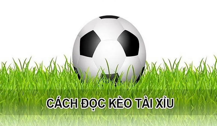 Kèo Tài Xỉu Tại 7M Cách Đọc Chuẩn Và Mẹo Soi Kèo Hiệu Quả 2026