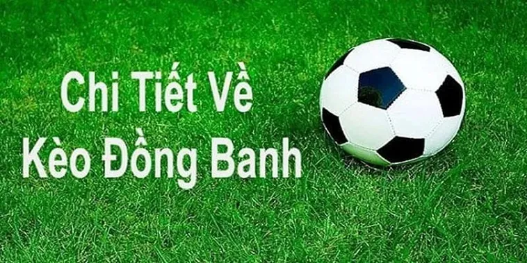 Phân Tích Kèo Đồng Banh Tại 7M Và Cách Chọn Cửa Chuẩn Xác
