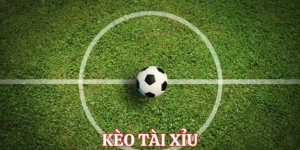 Kèo Tài Xỉu Bóng Đá Tại 7M Cách Đọc Chuẩn Và Kinh Nghiệm Soi Kèo Hiệu Quả 2026
